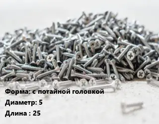 Шуруп с потайной головкой 5х25 универсальный